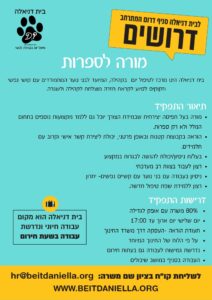 מורה ספרות דרום